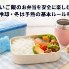 温かいご飯のお弁当を安全に楽しむ方法｜夏は冷却・冬は予熱の基本ルールを解説