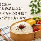 お弁当ご飯が冷めても絶品になる！固さやべちゃつきを防ぐ炊き方と冷まし方のコツ